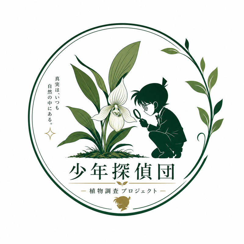 抖阴